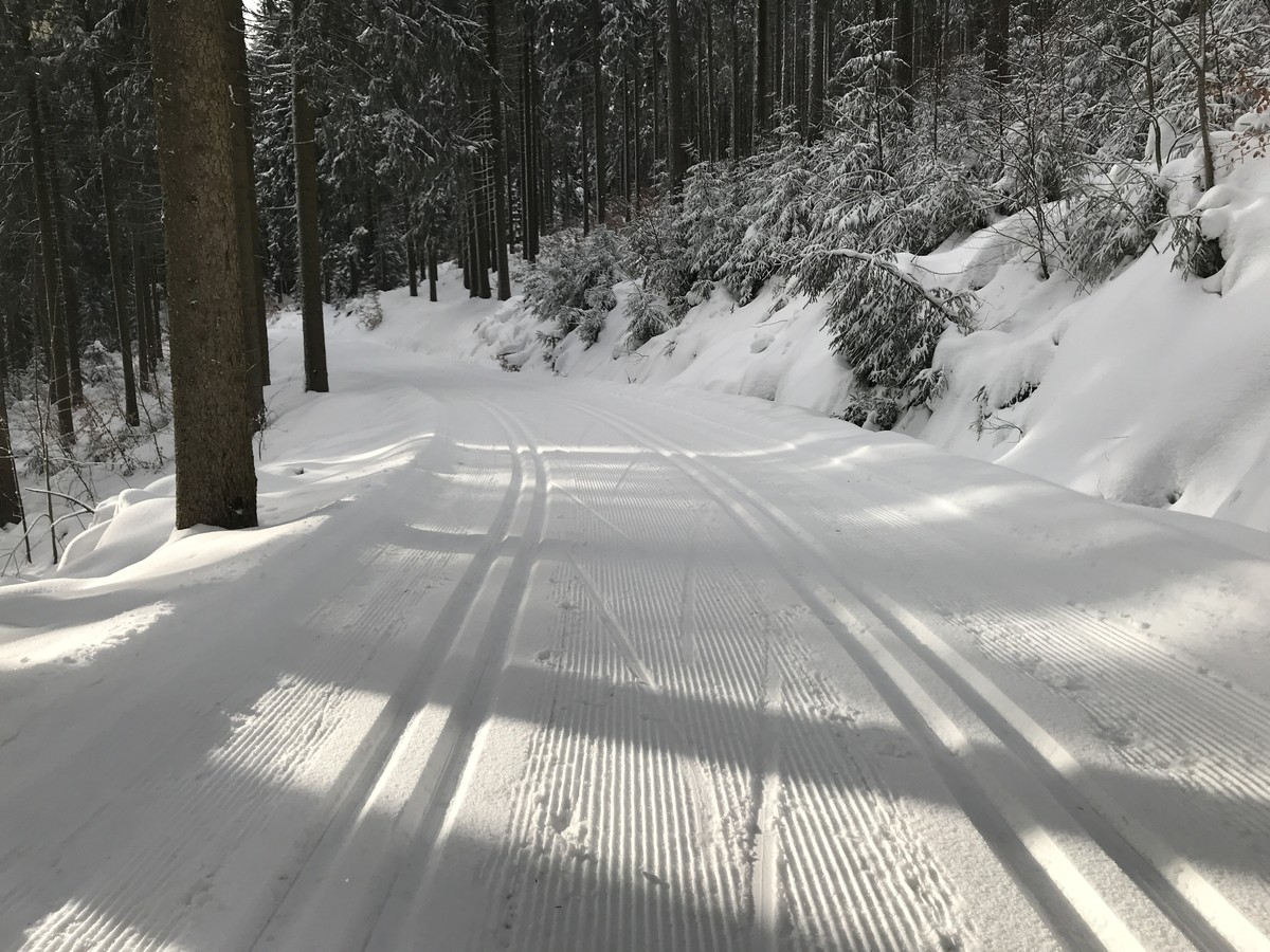 Kuhbergloipe bei Schönheide