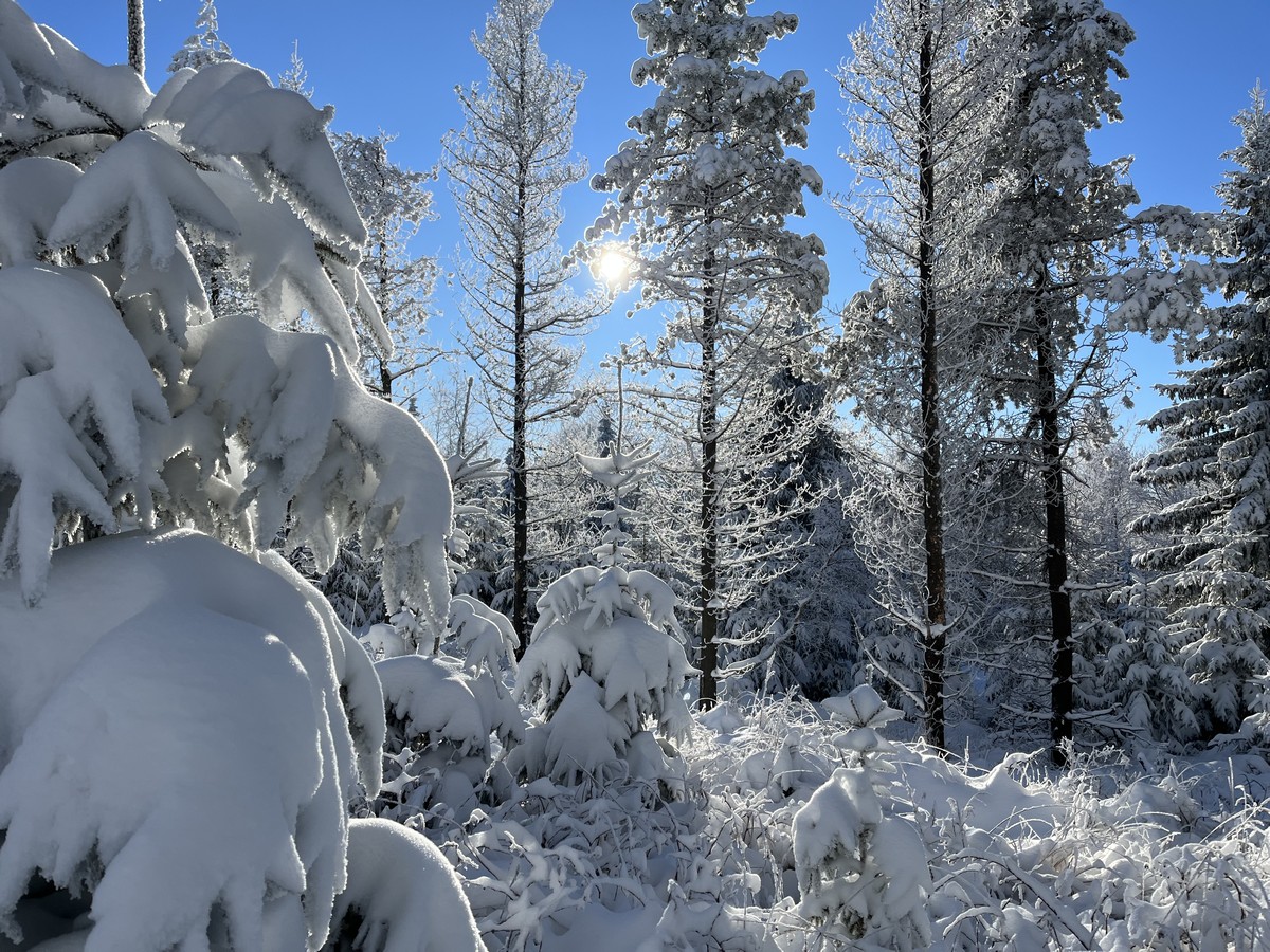 Zauberhafte Winterlandschaft