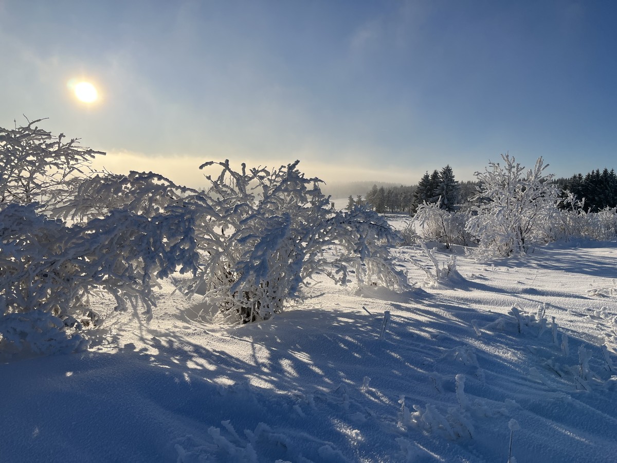 Winterwandern3