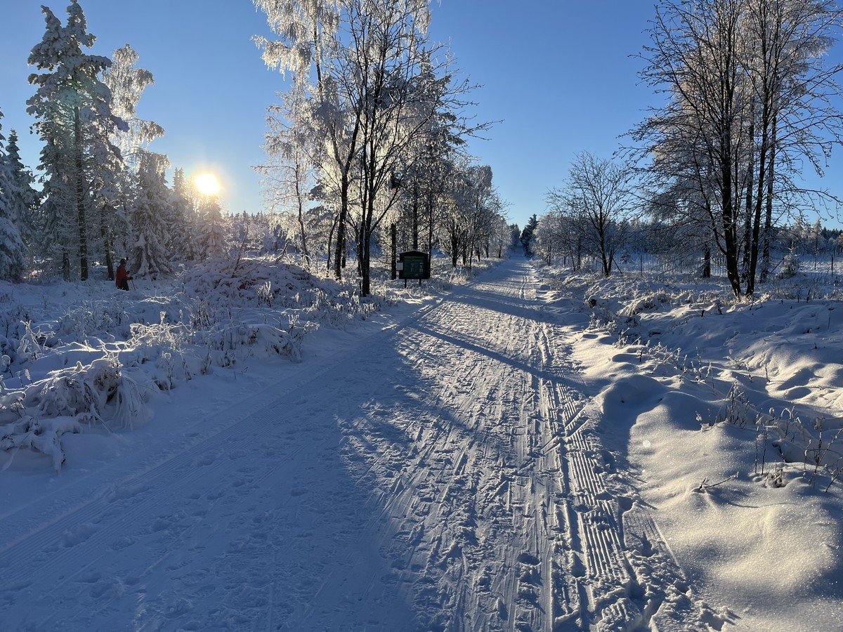 Winterwandern5