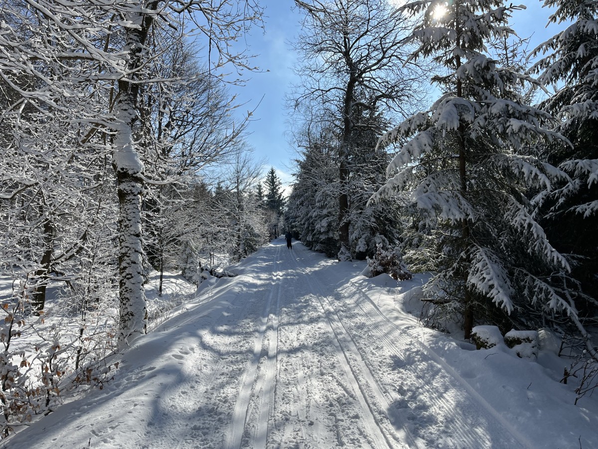 bahndammloipe-neuhermsdorf-neurehefeld-2022-02-12