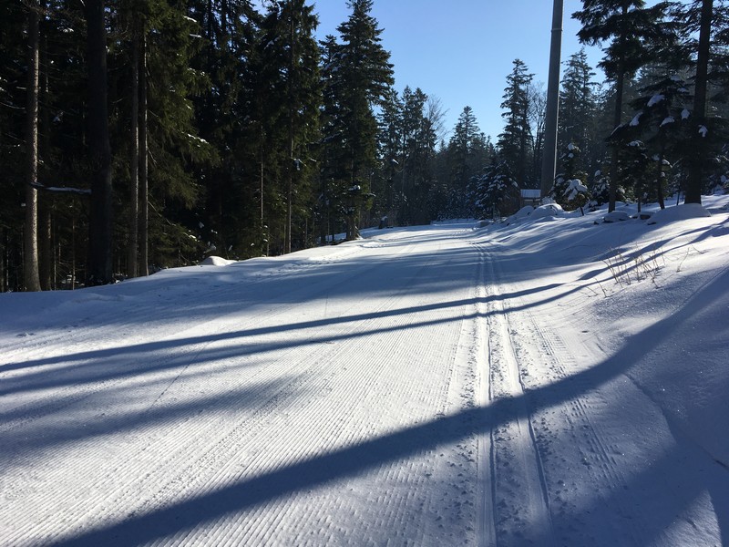 Im Loipengebiet Rittsteig