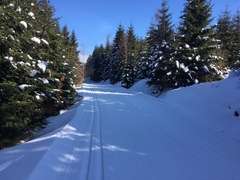 Unterhalb des 1293 Meter hohen Großen Osser