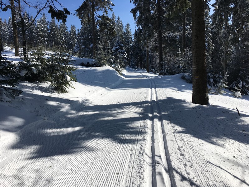 Traumhafte Loipe, traumhaftes Winterwetter.