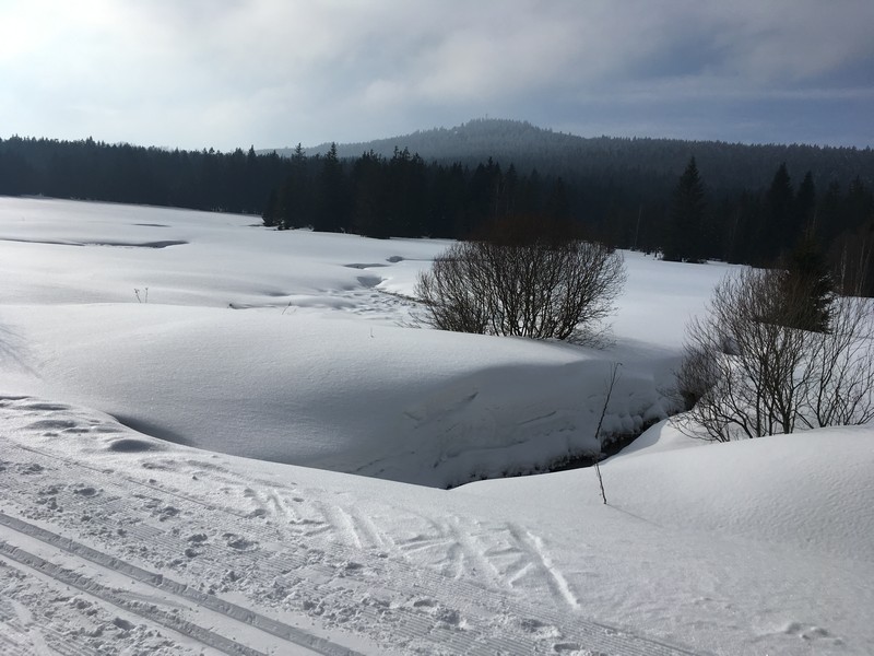 Wüstung Neubrunst