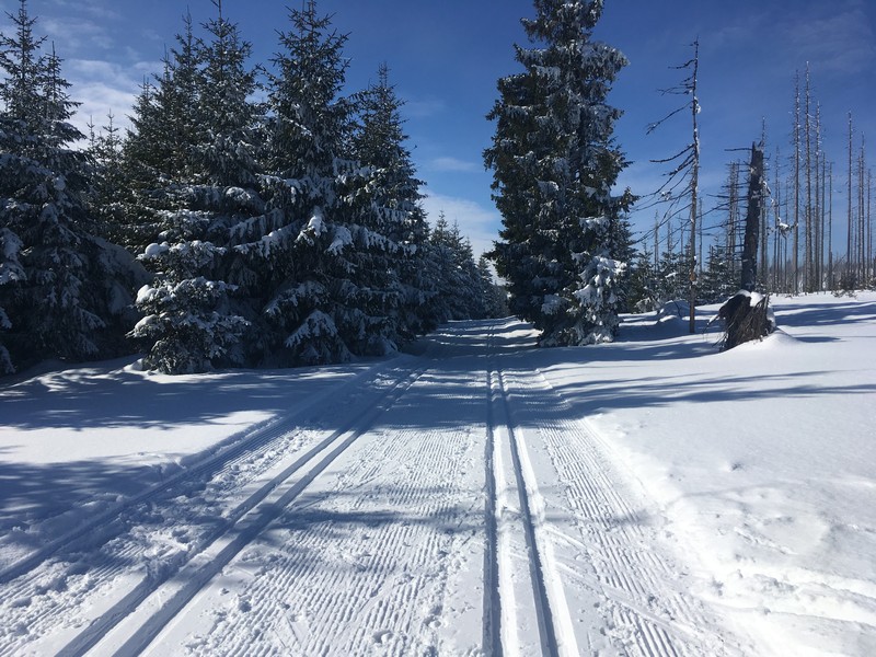 Traumhaftes Winterwetter und perfekt gespurte Loipe