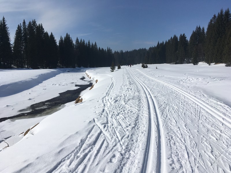 Sehr anfängerfreundliche und schneesichere Loipe