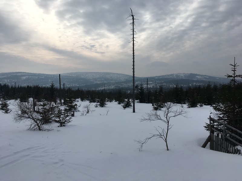 Auf dem Gebirgskamm - Blick Richtung Lusen