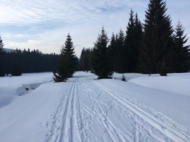 Bis Strazny geht es weiterhin überwiegend leicht bergab im Tal