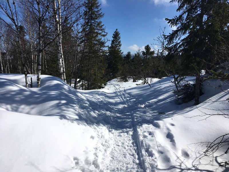 Abfahrt auf einem Wanderweg vom Plöckensteinsee Richtung Nova Pec