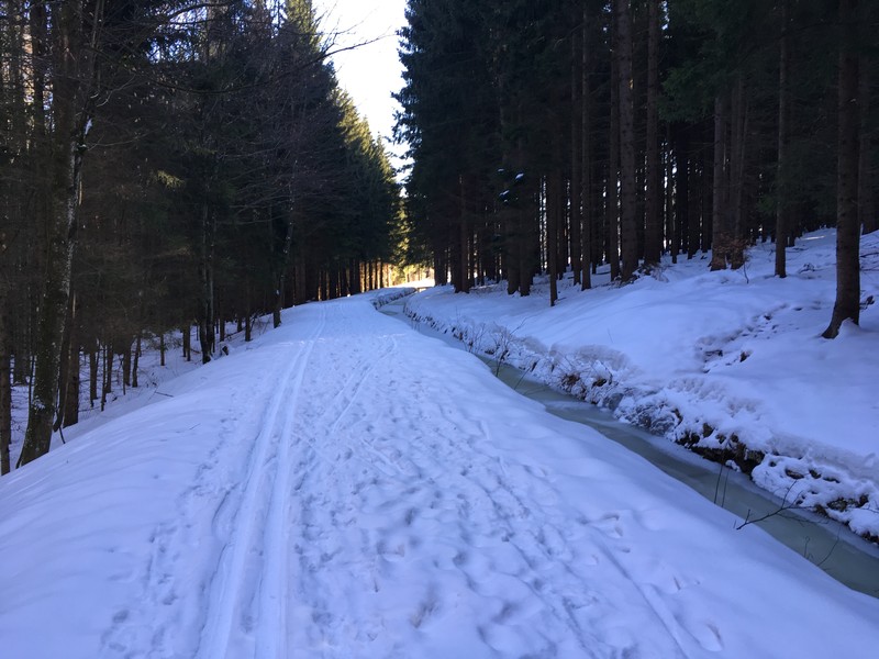 Am Schwarzenbergschen Schwemmkanal.