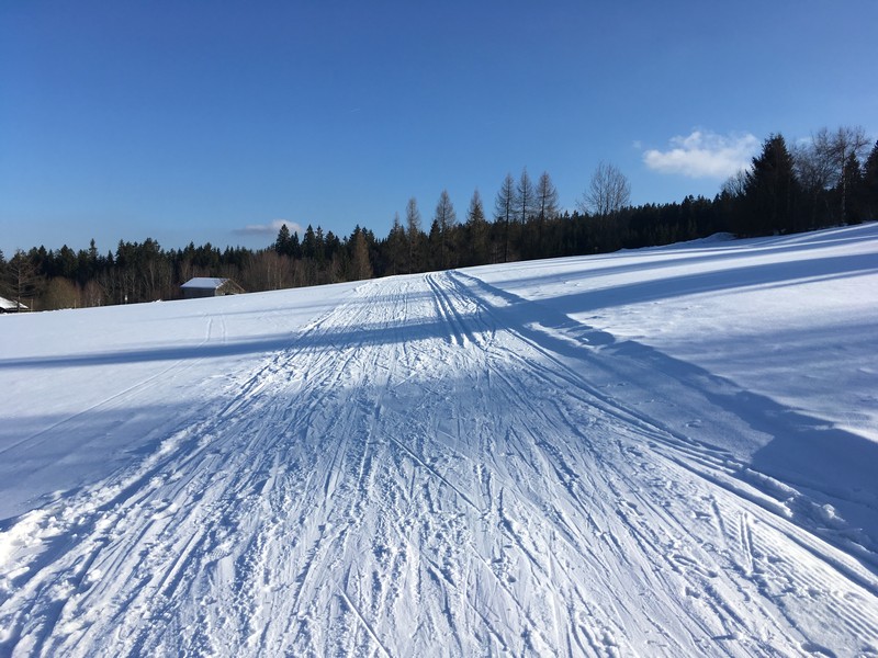 Perfekt gespurte Loipe ab Sonnenwald (Loipengebiet Schöneben/Grünwald)