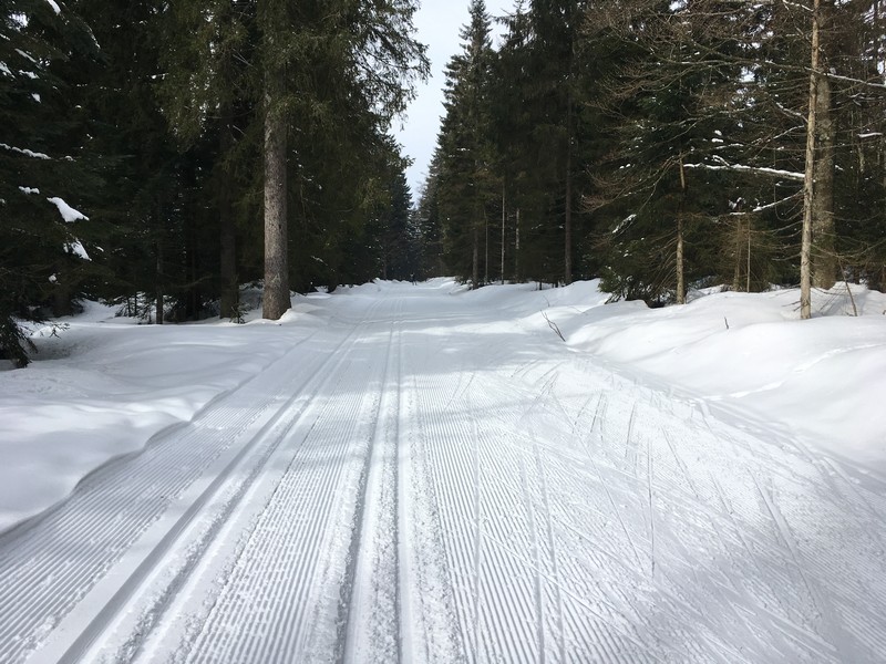 Sehr breite Loipen bei Schöneben