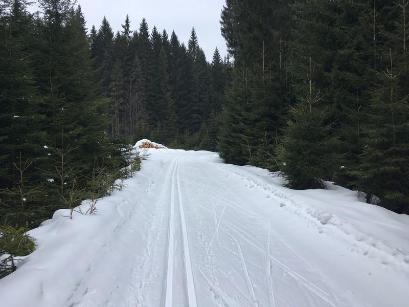 entlang des Schwarenbergschen Schwemmkanals