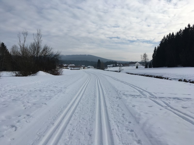 Loipe bei Haidmühle