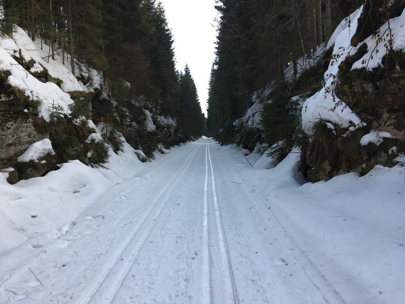 Loipe auf dem ehemaligen Bahndamm zwischen Haidmühle und Frauenberg