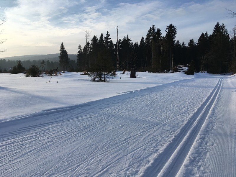 Im Loipengebiet bei Duschlberg