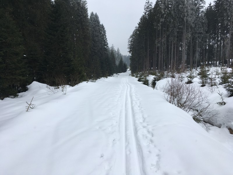 Zwischen Schwarzenthal und Philippsreut