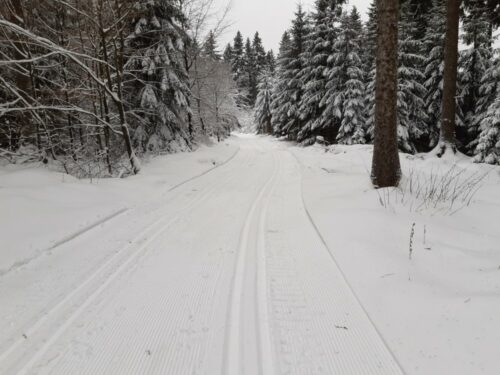 Floßgrabenloipe bei Holzhau, 22.01.2022