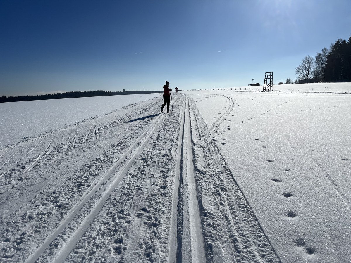 grünhain-spiegelwald-loipe-2023-02-08-1