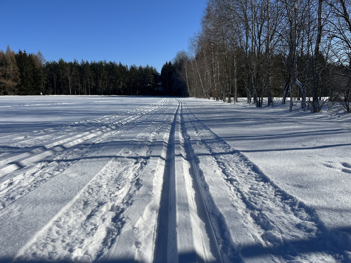 grünhain-spiegelwald-loipe-2023-02-08-2