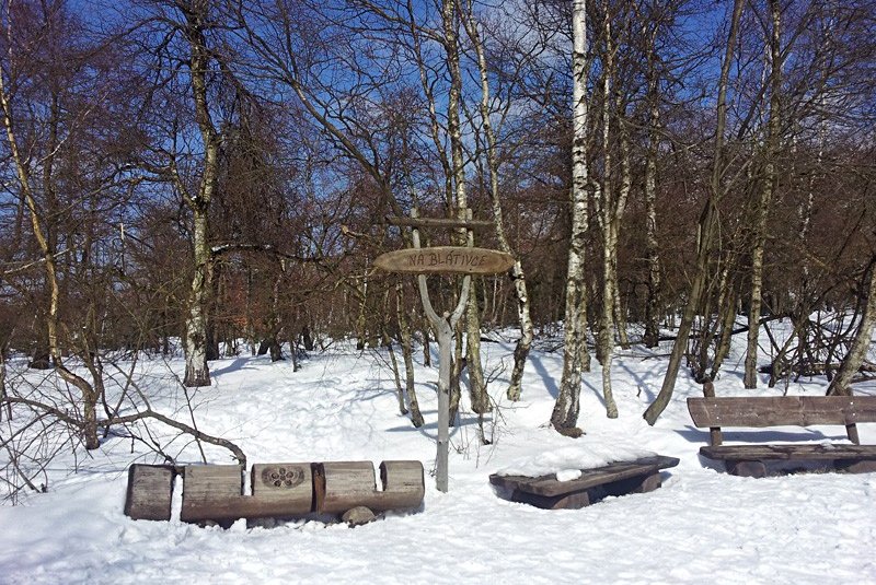 Rast am Hohen Schneeberg