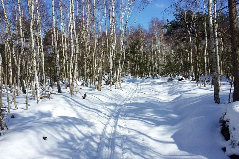 Querung des Hohen Schneebergs