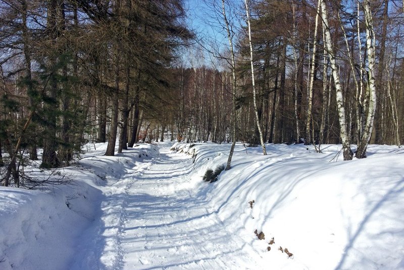 Hohlweg vor der Straßenquerung