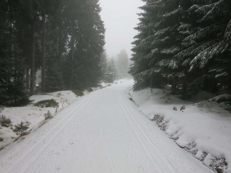 Loipe bei Bedrichov im Isergebirge