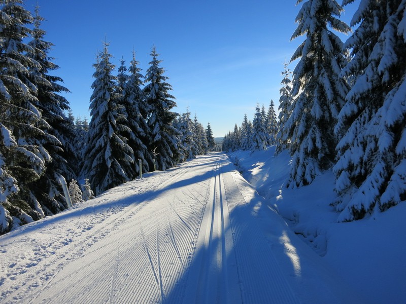 Traumhafte Loipe, traumhaftes Winterwetter im Isergebirge