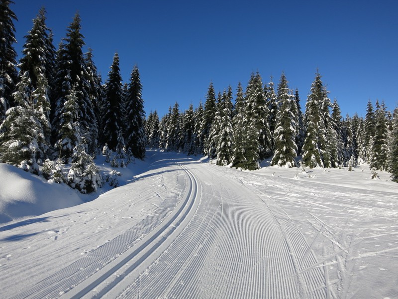 Unterhalb der Tafelspitze (Smrk)