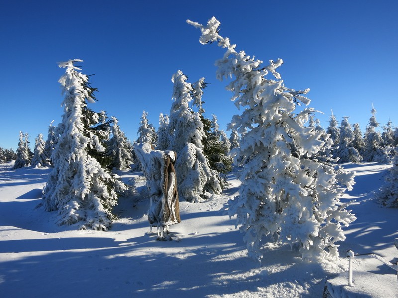 Schnee- und Eislandschaft auf der Tafelfichte