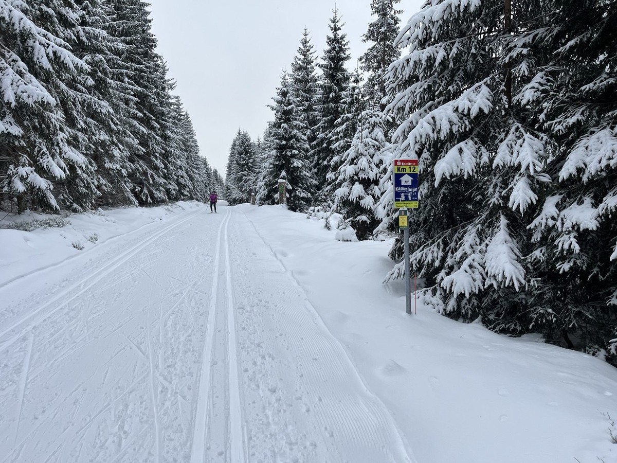 kammloipe_2025-01-03-1