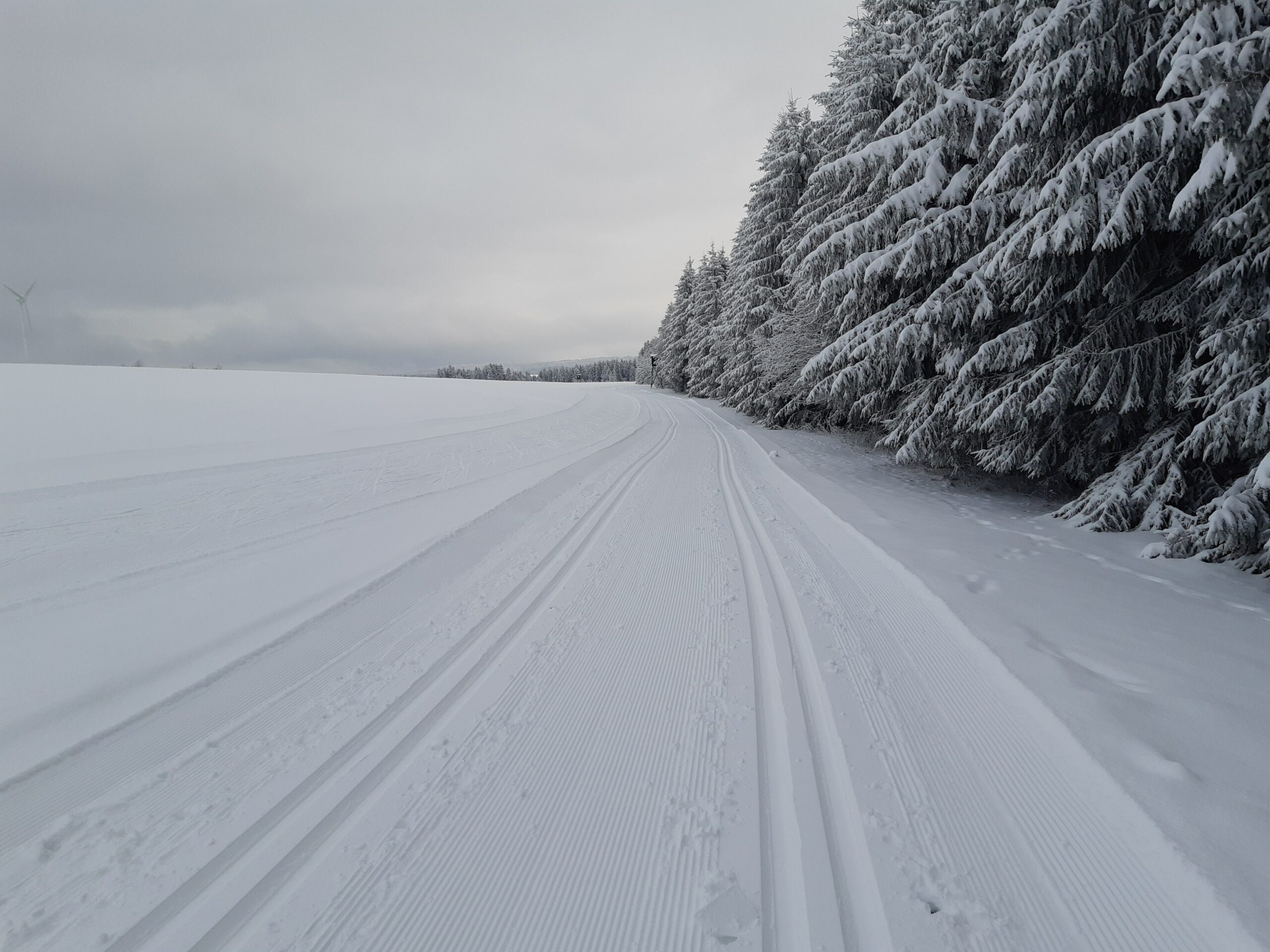 loipe-hermsdorf-2023-11-30