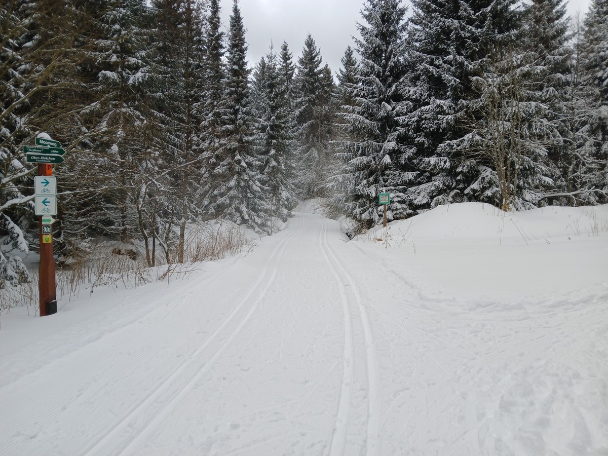 Moorweg bei Holzhau