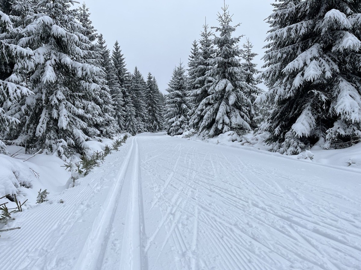 loipe_2025-01-03_6