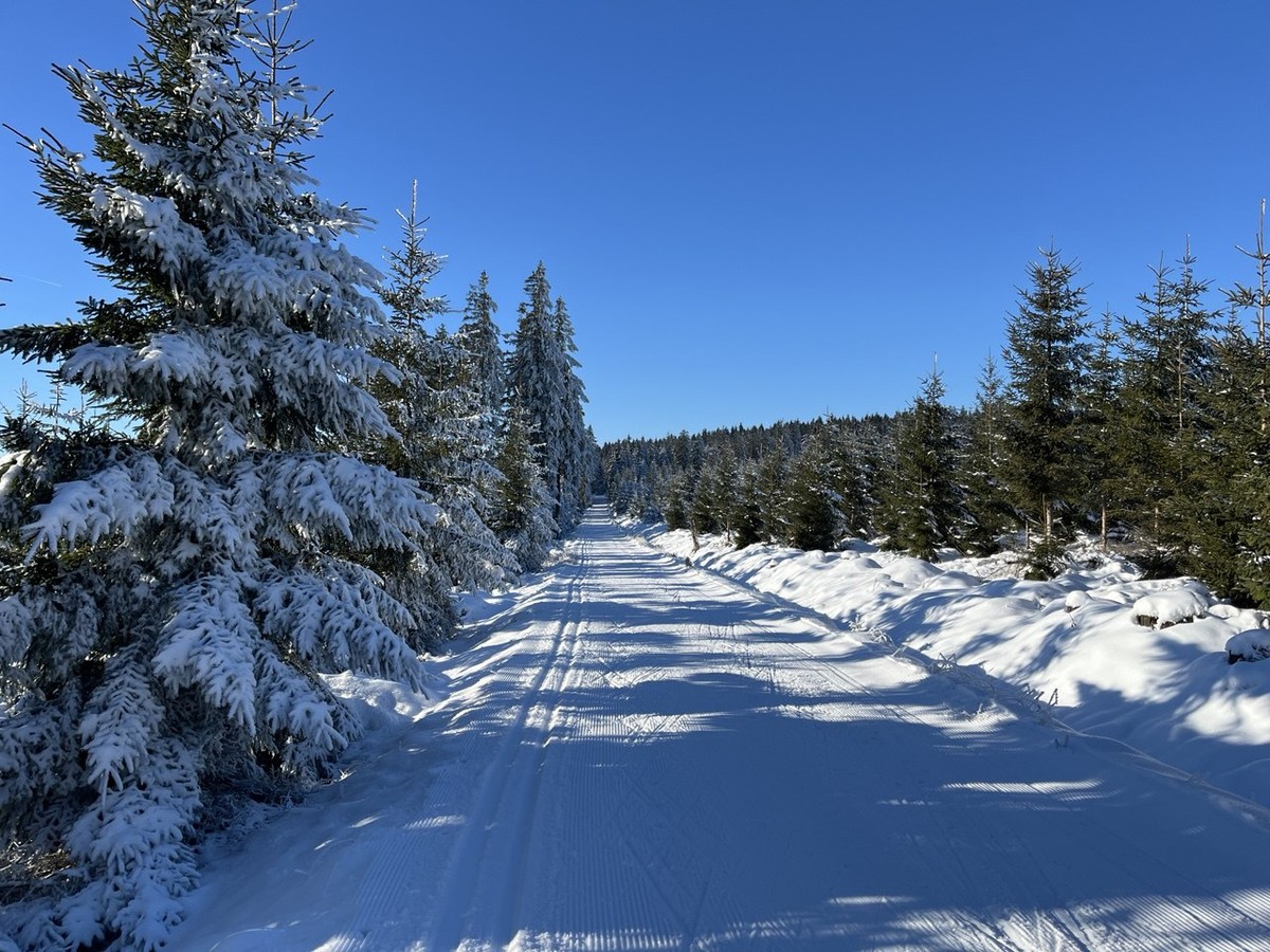 loiptentour2024-12-13-02