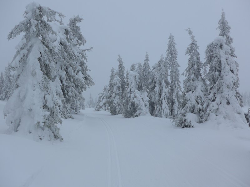 Zwischen Sjusjoen und Nordseter