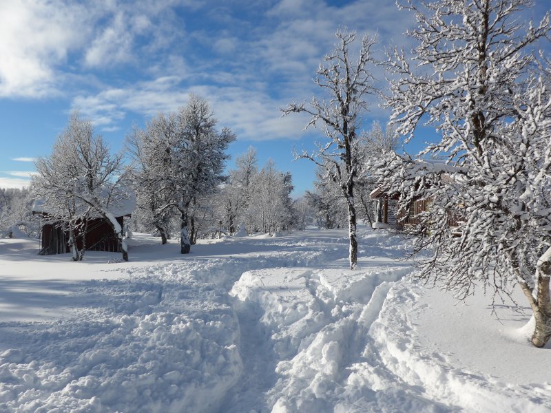 Vetåbua-Hütten im Winter