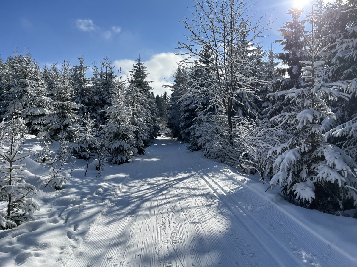 oberhalb-gimmlitztal-2022-02-12