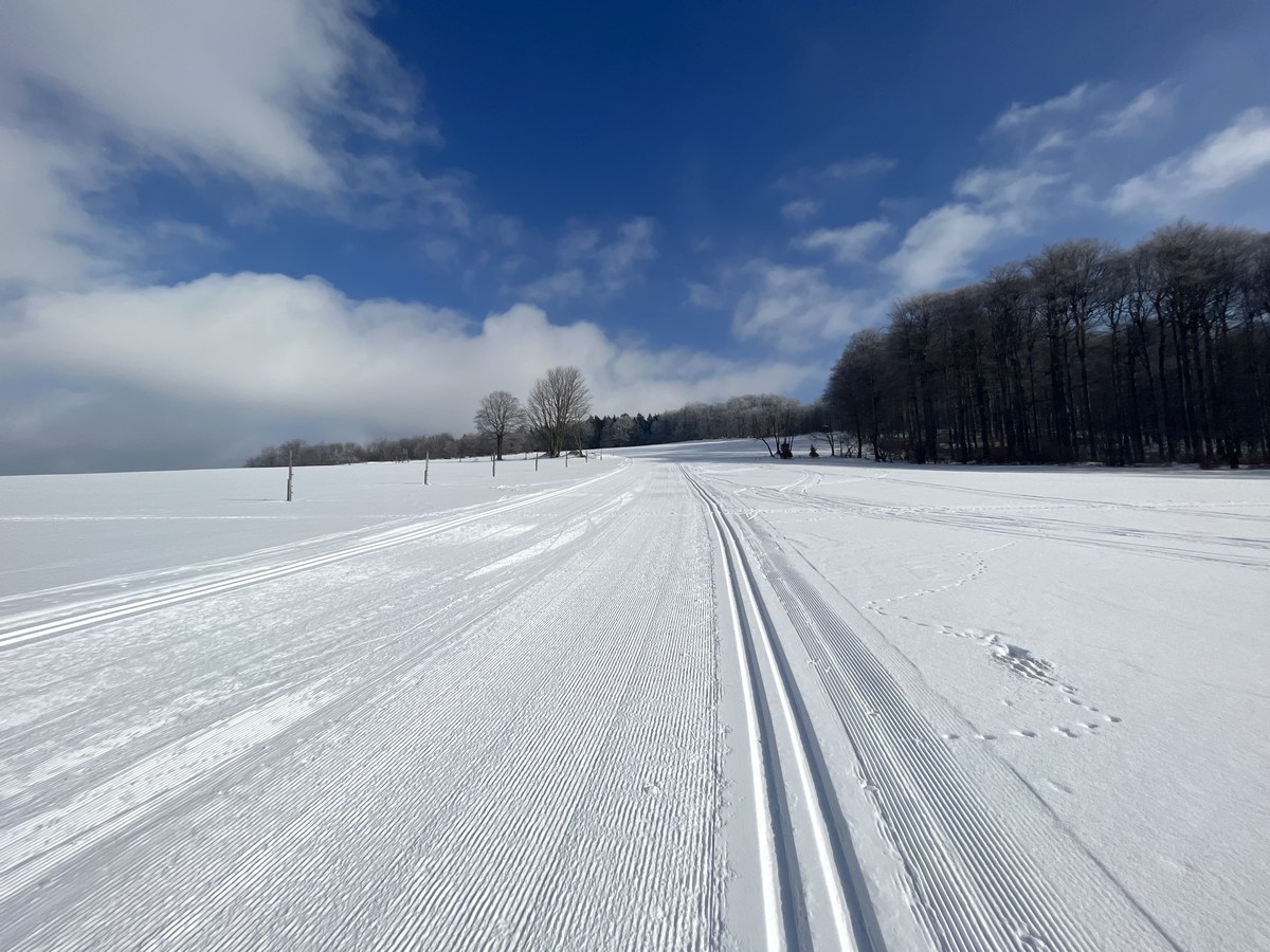 ortsloipe-reicheltberg-seiffen-2023-02-10