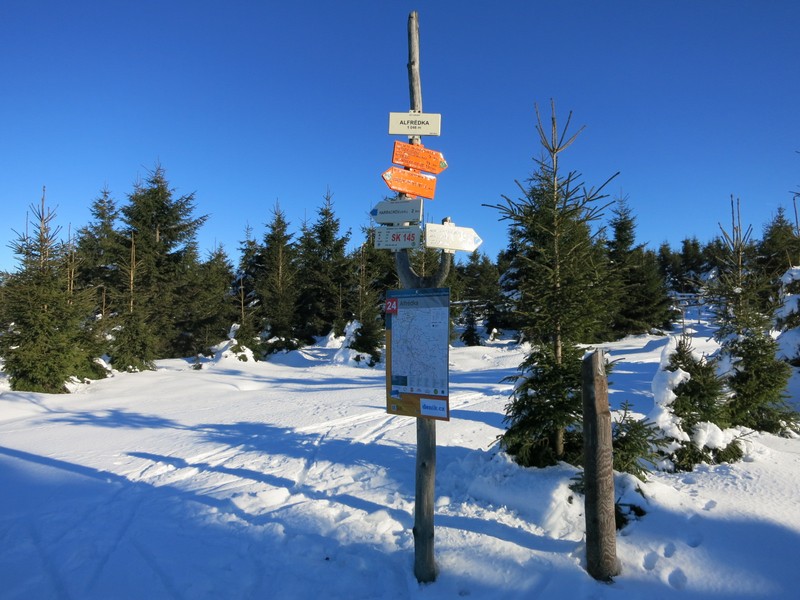 Oberhalb von Harrachov - gute Ausschildung mit Loipenkarte