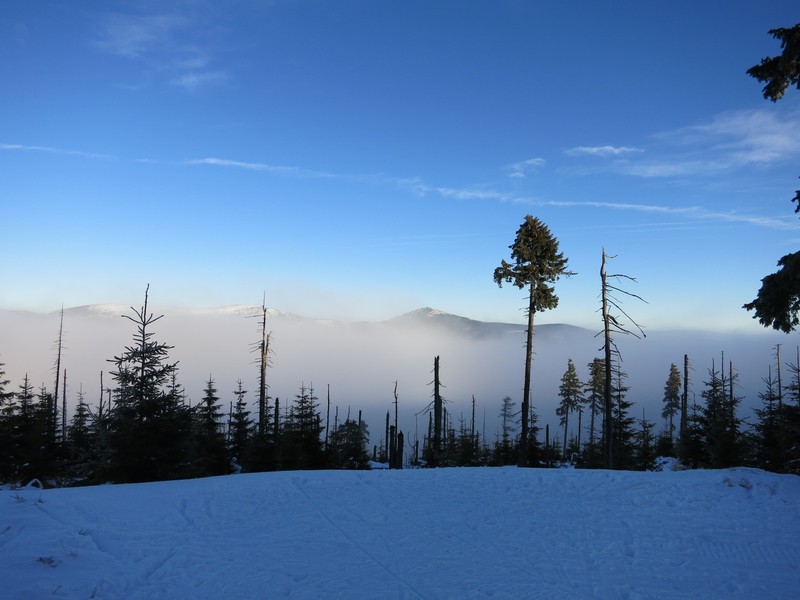 Im Bereich der Nebelgrenze am 1299 Meter hohen Cerná hora